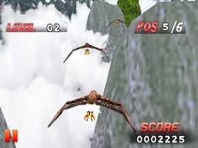 Bird Race 3D Image