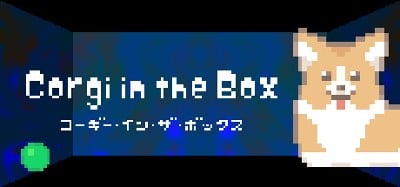 Corgi in the Box Image