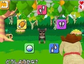 Pet Shop Monogatari DS 2 Image