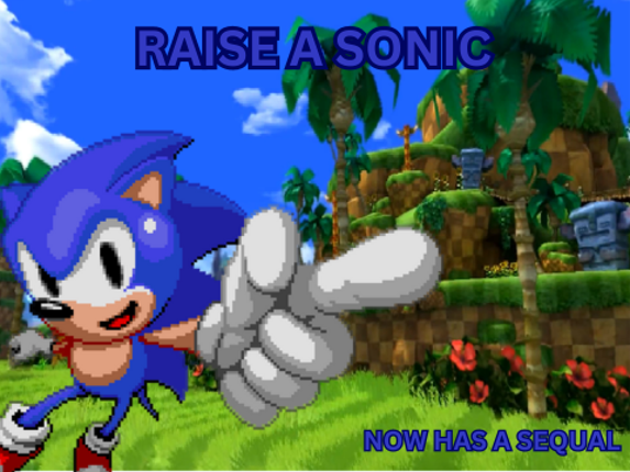 Raise A Sonic Game Cover