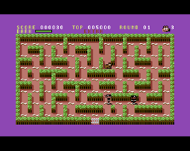 Scout the Stray (C64) Image