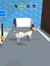 Pet Clinic 3D Image