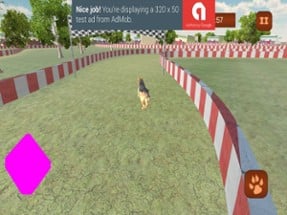 3D Virtual Dog Racing and Stunts 2017 Tournament Image