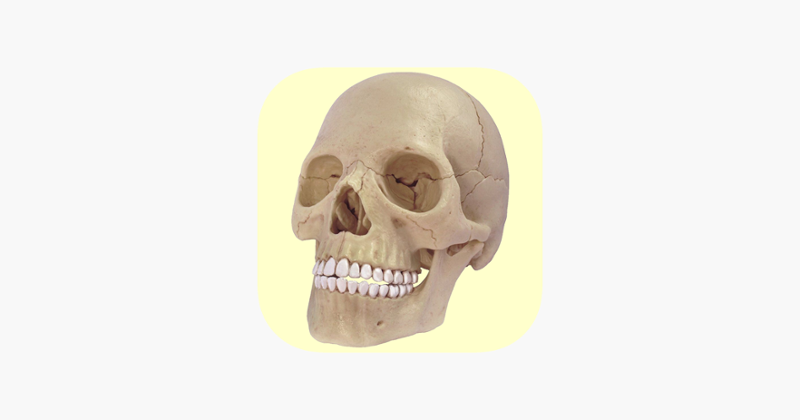 Human Skeletal System Trivia Game Cover