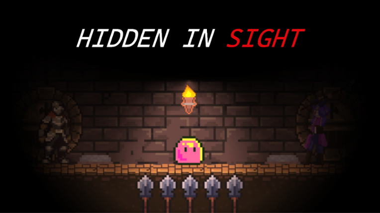 Hidden In Sight Game Cover