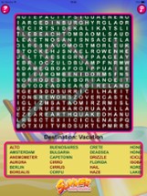 Epic Summer Word Search - giant wordsearch puzzle Image