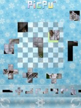 PicPu - Cat Picture Puzzle Image