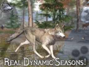 Ultimate Wolf Simulator 2 Image