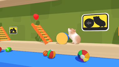 Hamster Maze Image