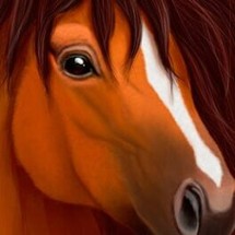 Ultimate Horse Simulator Image