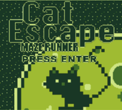 Cat Escape Maze Run Image