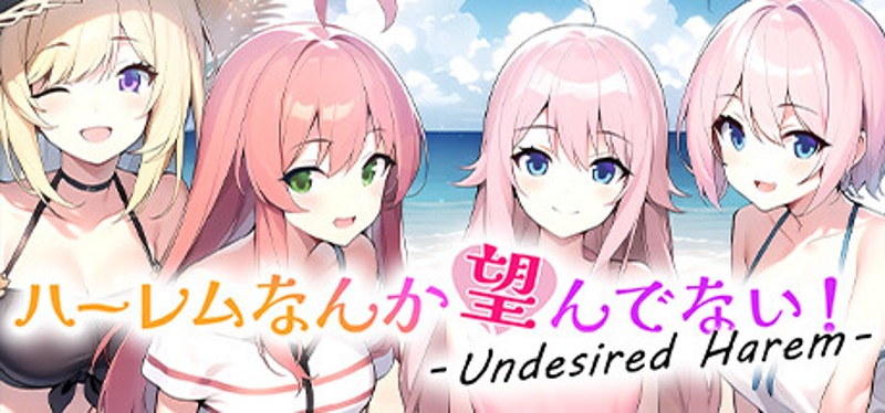 ハーレムなんか望んでない！ - Undesired Harem - Game Cover