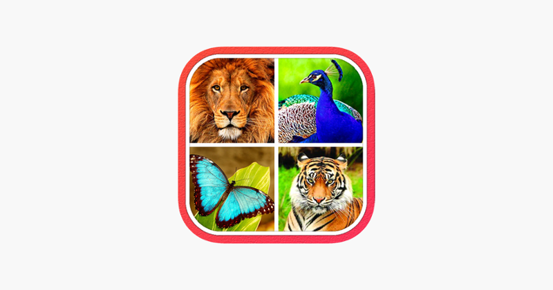 Animals Learning Game Cover