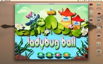 Ladybug Ball Image
