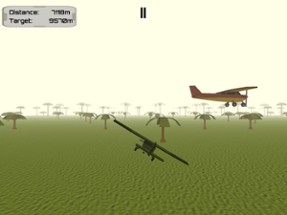Dodging Plane Crash 3D Image