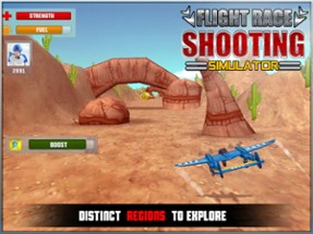 Flight Race Shooting Simulator Image