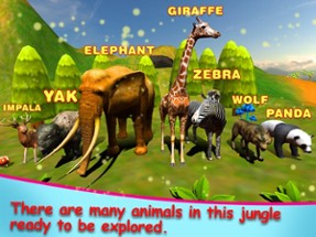 Jungle Animals in the Zoo : Let Your kid learn about Zebra, Lion, Dog, Cats &amp; other Wild Animals Image