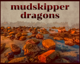 Mudskipper Dragons Image