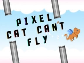 Pixel Cat Cant Fly Image