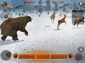 Bear Revenge 3D Image