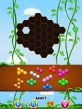 Super Hexa Blocks Puzzle Games Image