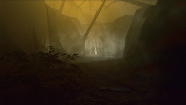 Dark Forest: Lost Story VR Image