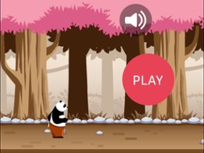 Panda Bear Run - Jungle Running Game Image