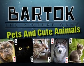 Bartok - Pets And Cute Animals Image