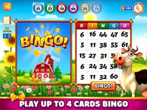 Pet Bingo: Bingo Game 2024 Image