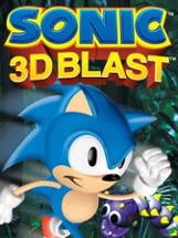 Sonic 3D Blast Image