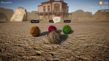 Tumbleweed Destiny Image