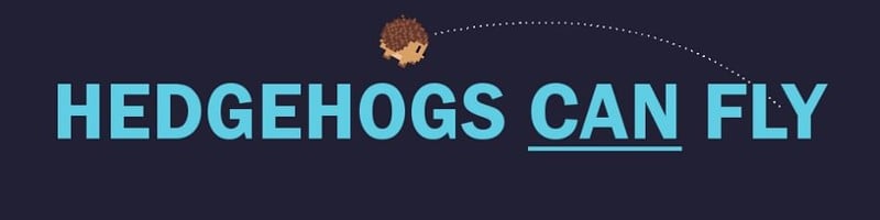 Hedgehogs Can Fly Game Cover