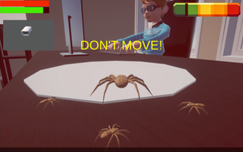 Spider Control Image