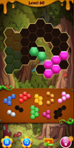 Pop it Hexa Puzzle Image