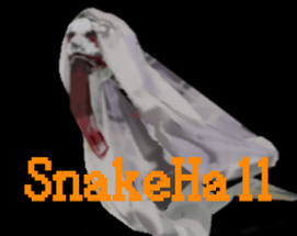 SnakeHall Image