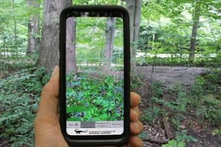 The AR Perpetual Garden Apps Image