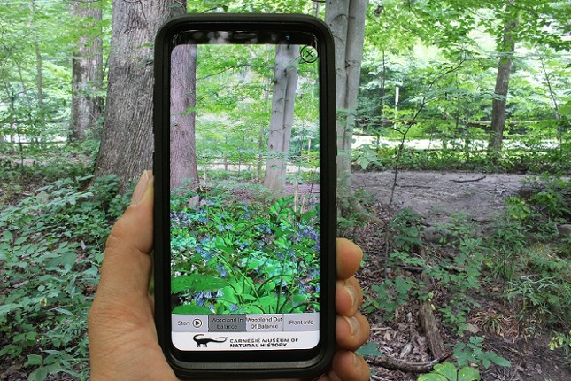 The AR Perpetual Garden Apps Game Cover