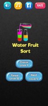 Liquid Sort:Fruit Water Puzzle Image