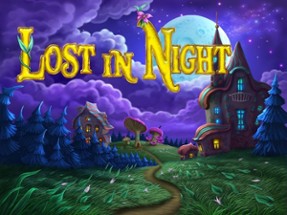 Lost In Night Image