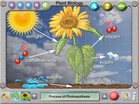 Plant Biology Explorer Image