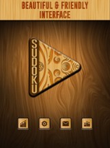 Sudoku Wood Puzzle Image