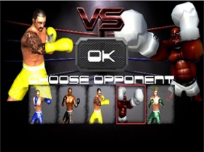 Boxing 3D Fight Game Image