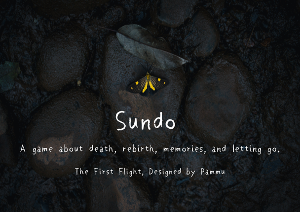 Sundo: The First Flight Game Cover