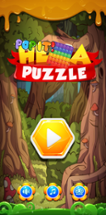 Pop it Hexa Puzzle Image