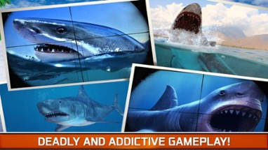 Angry Fish Hunting - Sea Shark Spear-fishing Game Image