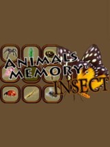 Animals Memory: Insect Image