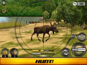 Wild Hunt: Hunter Simulator Image