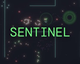 SENTINEL Image