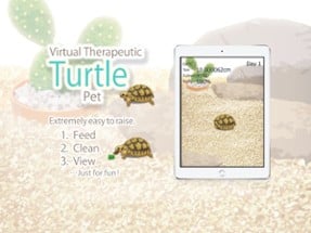 Tortoise Pet Image