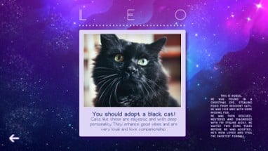 Zodiacats Image